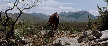 The Sons of Great Bear (1966) download