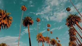 Different with Me (2025) download