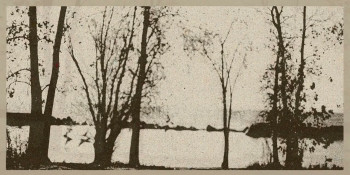 Dinner with Friends (2025) download