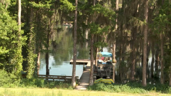 DinoGator (2024) download