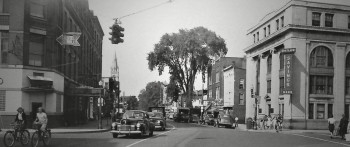 Dio: Dreamers Never Die (2022) download