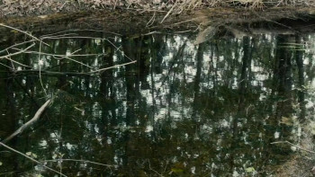 Do I Know You from Somewhere? (2024) download