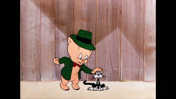 Dog Collared (1950) download