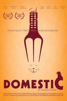 Domestic (2012) download