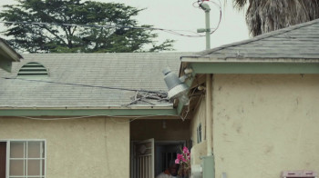 DOMINO: Battle of the Bones (2021) download