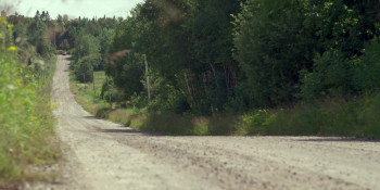 Don't Mess with Grandma (2024) download