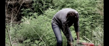 Don't Show Mother (2010) download