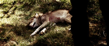 Dossier K. (2009) download