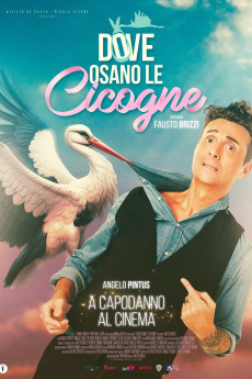Dove osano le cicogne (2025) download