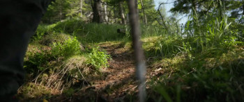 Downhill Skiers - Ain't No Mountain Steep Enough (2025) download