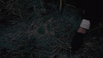 Dracula A.D. 1972 (1972) download