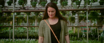 Dracula: The Count's Kin (2024) download