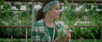 Dracula: The Count's Kin (2024) download