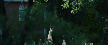 Libélulas (2022) download