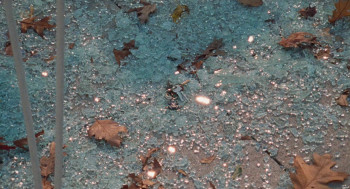 Dream Scenario (2023) download