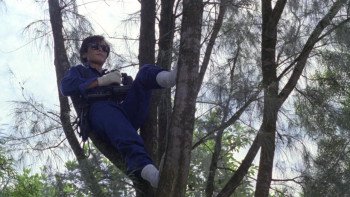 Dreaming the Reality (1991) download