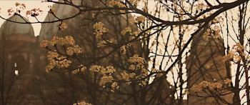 Dropa (2019) download