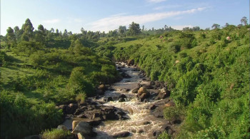 La Terre vue du ciel (2004) download