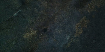 East of Wall (2025) download