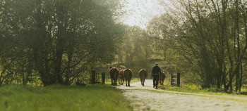 Europe's Lithium Paradox (2025) download