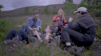 Evelyn (2018) download