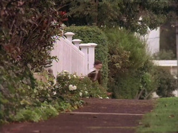 Every Woman's Dream (1996) download