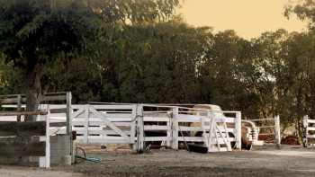 Everyday Miracles (2015) download