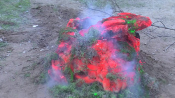 Evil Bong 3: The Wrath of Bong (2011) download