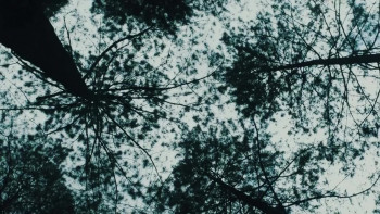 Excalipurr (2022) download