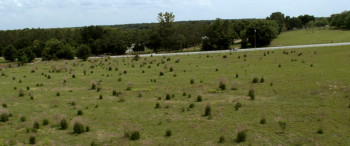 Exhume (2017) download