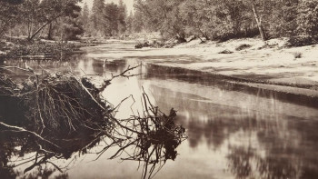 Exposing Muybridge (2021) download