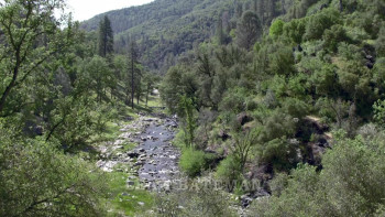 Eyewitness (2015) download