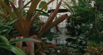 Fairyland (2023) download