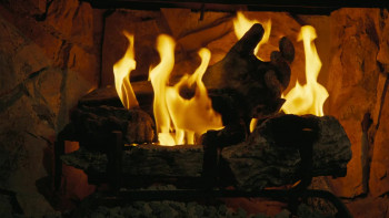 Fallout: The Ghoul Log (2025) download