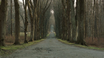 Family Games (2018) download