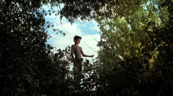 Barbs, Wastelands (2017) download