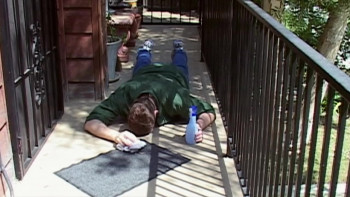 Fat Head (2009) download