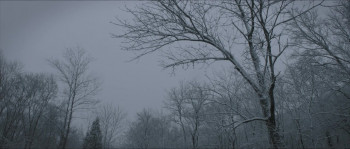 Father of Flies (2021) download