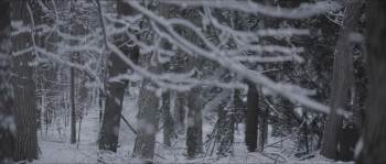 Father of Flies (2021) download