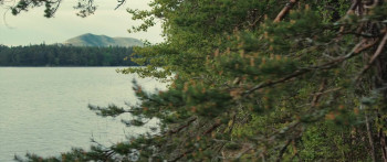 Feed (2022) download