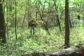 Feeders (1996) download