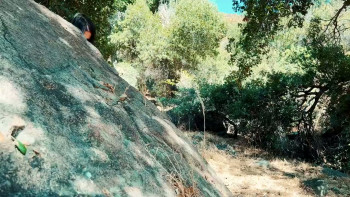 Feral Female (2025) download