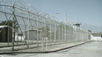 Filly Brown (2012) download