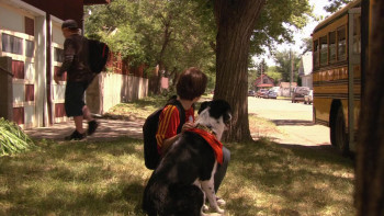 Finn on the Fly (2008) download