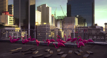 Flamingo (2020) download