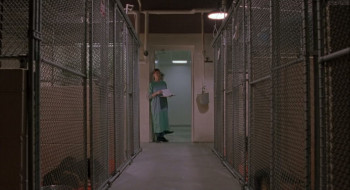 Fluke (1995) download