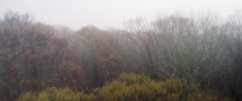 Fog of War (2025) download