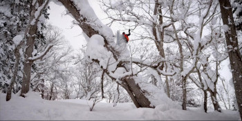 Follow Your Nose (2015) download