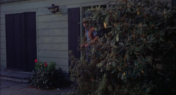 For Love of Ivy (1968) download