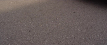 For the New Emperor (2020) download